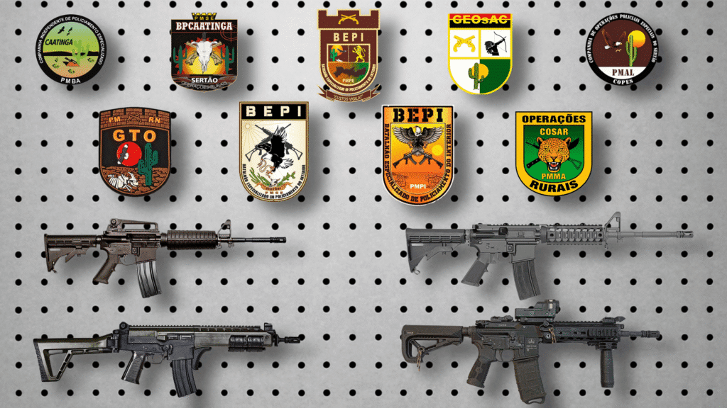 Caatinga-armas-brasões